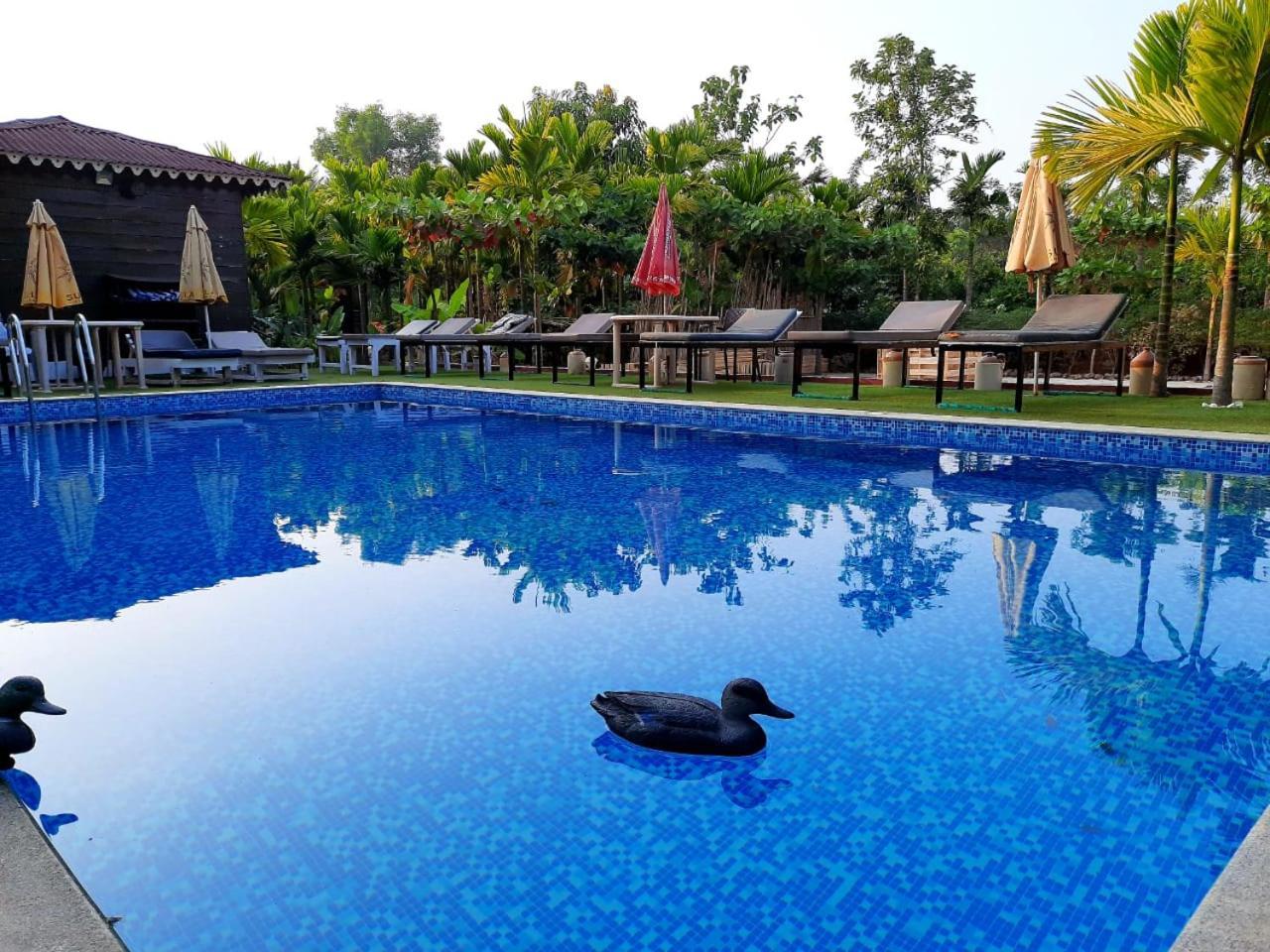 Go Green Spice & Eco Resort Кавелосим Екстериор снимка