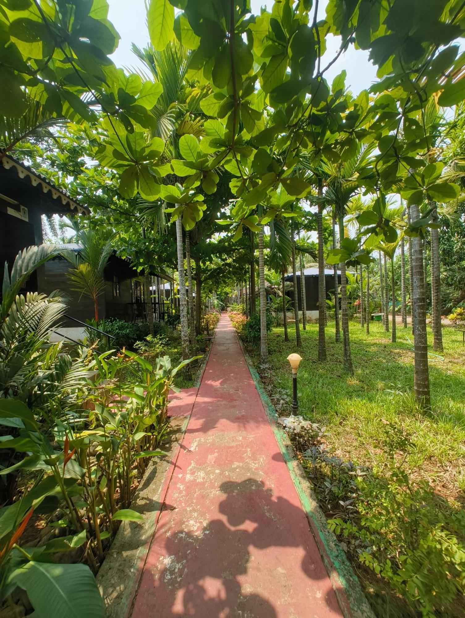 Go Green Spice & Eco Resort Кавелосим Екстериор снимка